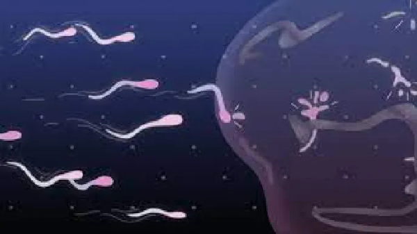 Científicos de Florida crean chip para separar los espermatozoides «buenos»